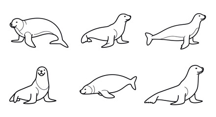 Seal Illustrations: Collection of Six Line Art Drawings in Various Poses © Yunan