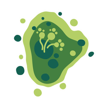 Microscopic mold colony in a damp indoor environment shows green and black fungus growth. Vector illustration.
