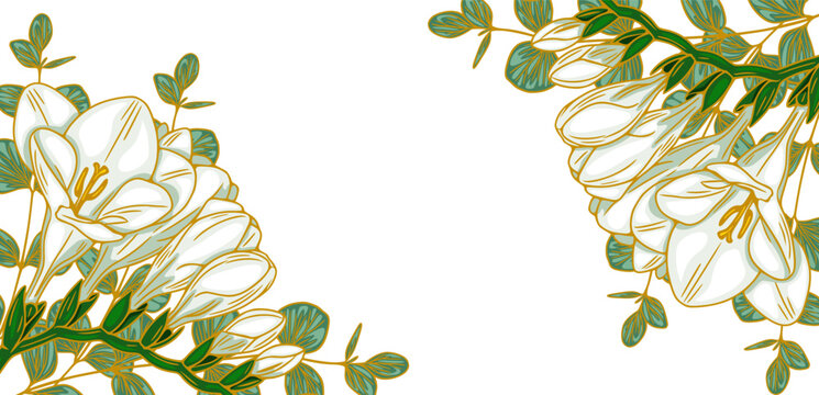 Elegant white freesia and eucalyptus banner vector with golden outlines