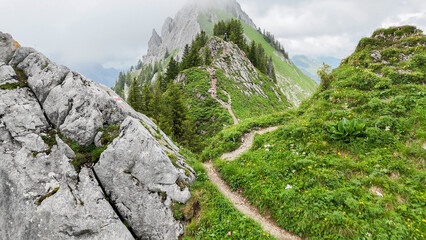 Naklejka premium Drone view, aerial on beautiful mountain peak with rocks and alpine pine trees. A hiking trail is visible on the slopes. Sharp mountain peak. Big rocks and pine trees. Alpine landscape. Outdoor activi
