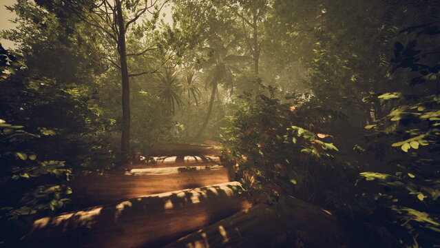 golden light filtering through trees, warm highlights on foliage, soft mist in understory, cozy palette, tranquil mood for nature meditation or background