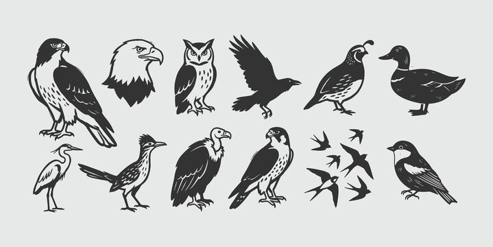 Neo-Minimalist Wild Birds Vector Set - Hand-Drawn Avian Icons