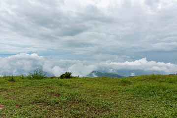 Cloud-covered grassland