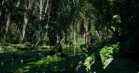 Obraz premium sunlit bog with emerald water and fernlined banks, warm highlights on rippling surface, atmospheric wetland perfect for editorial nature storytelling and eco