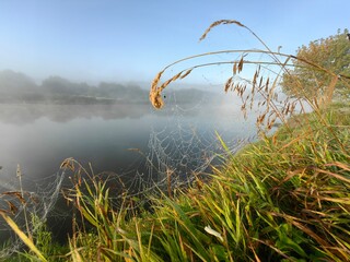 Morning fog over the Dnieper River, beautiful sunrise with wildflowers.