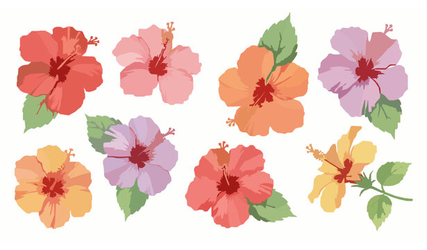 Hand-painted watercolor hibiscus flowers vector collection in vibrant tropical colors on white background