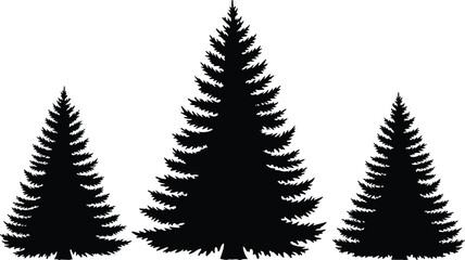 Obraz premium Pine tree silhouette vector illustration set, evergreen conifer forest trees isolated on white background, nature elements for winter and mountain designs.