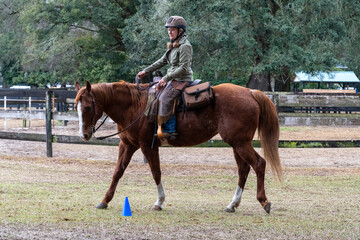 A woman and her horse doing an obstacles course