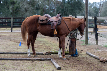 A woman doing an obstacles course with her horse