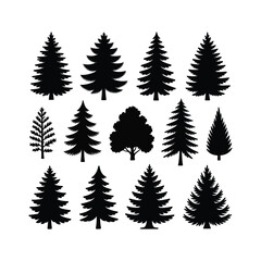 Pine tree silhouette set. Evergreen fir and coniferous forest trees vector illustration. © Murad