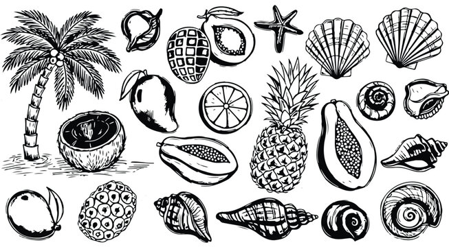 Bali, Thailand or tropic style vacation. Hand drawn vector illustrations. Grunge rough doodle sketch coconut palm tree, exotic fruit and seashell. Blue chalk charcoal drawings for poster, placard 2026