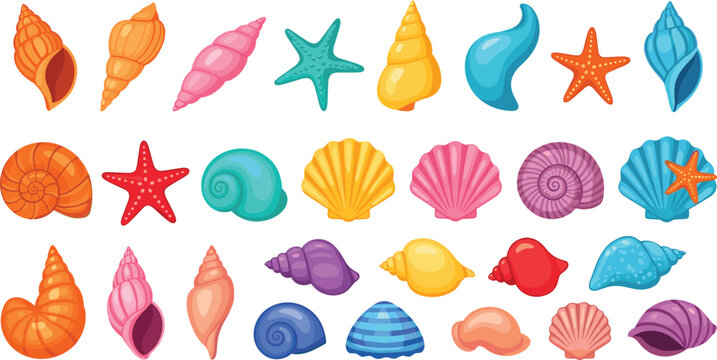 Colorful Seashell and Starfish Vector Set Featuring Tropical Ocean Shells for Beach Themes, Summer Decorations, Marine Designs, and Coastal Illustrations