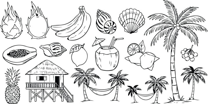 Bali, Thailand or tropic style vacation. Hand drawn vector illustrations. Grunge rough doodle sketch coconut palm tree, exotic fruit and seashell. Blue chalk charcoal drawings for poster, placard