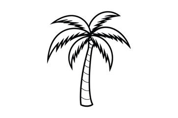 Obraz premium A simple black and white line drawing of a tropical palm tree