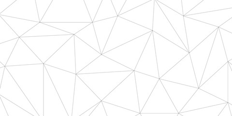 black vector poly triangle texture. clean and modern science chemical theme background. Abstract geometric pattern composed of triangular. white black vector triangle mosaic wallpaper , vector. © Splashes