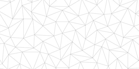 black vector poly triangle texture. clean and modern science chemical theme background. Abstract geometric pattern composed of triangular. white black vector triangle mosaic wallpaper , vector. © Splashes