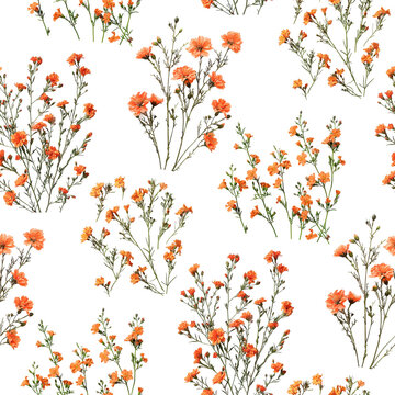 Orange wild flowers botanical seamless pattern background