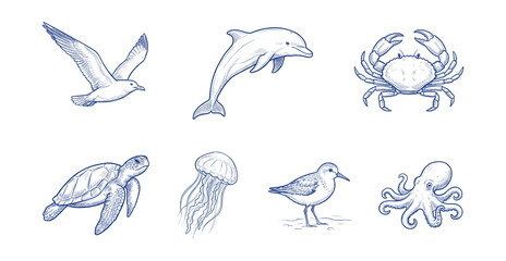 Obraz premium Coastal wildlife blue sketch elements set.