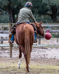 A woman and her horse doing an obstacles course