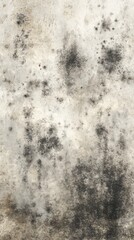 Obraz premium Mold contamination texture symbolizing environmental risk.