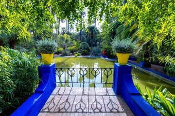 Marrakech, Morocco - February 4, 2026: Vibrant Majorelle blue architecture and lush exotic gardens...