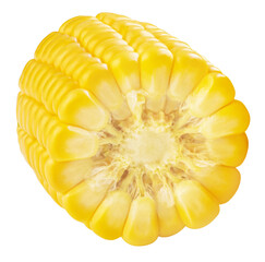 Flying Corn cob pieces isolated on white background. Fresh  Sweet corn levitating in air. Top view. Flat lay