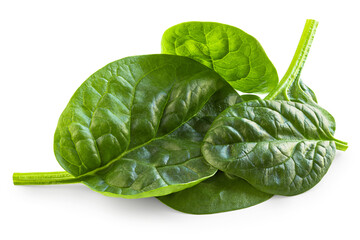 Spinach leaves isolated on white. Fresh Espinach leaves pile, bunch, heap. Baby spinach leaves as a Package design element