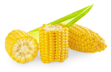 Corn cob pieces isolated on white background. Fresh  Sweet corn las a package design element
