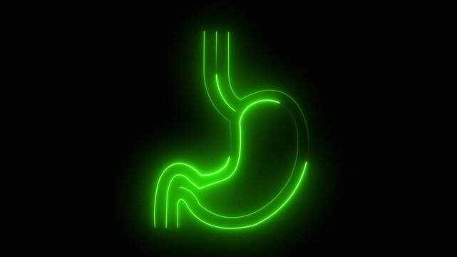 Neon Stomach Icon &ndash; Digestive System and Gastro Health acid reflux concept ulcer problem digestion process human anatomy icon Concept.