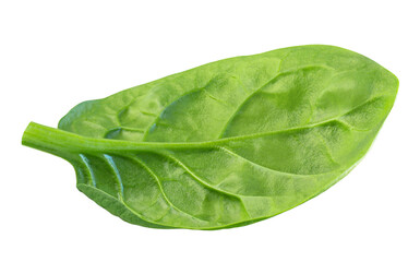 Flying Spinach leaves isolated. Fresh Espinach leaf&nbsp;on white background. Baby spinach leaves levitating. Topview. Flat lay