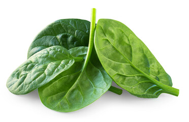Spinach leaves isolated on white. Fresh Espinach leaves pile, bunch, heap. Baby spinach lgreens