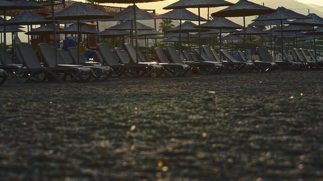 Serene resort beach at sunrise or sunset. Vacant sun loungers and traditional straw umbrellas line dark pebbled sand. Warm, golden light spreads across horizon, creating soft bokeh. Distant mountains,