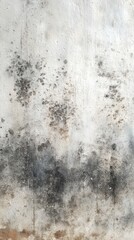 Obraz premium Moldy surface expressing unhealthy environment and material damage.