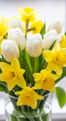 Obraz premium Close up bouquet of white tulips and yellow daffodils in a clear glass vase, soft natural daylight. Fresh spring floral still life for greeting cards, decor, holidays.