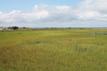Fototapeta premium Old Shed on Open Green Marsh
