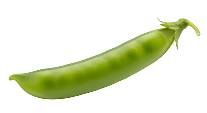 Fresh single bright green pea pod isolated on black background