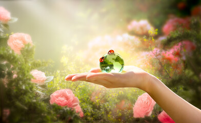 Earth Day or World Environment Day, environmental theme. Crystal glass globe ball and ladybug in human hand on green tree leaves background. Save our planet and protect nature, sustainability concept. © julia_arda