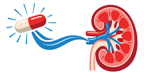 Obraz premium Medical illustration of a capsule and a human kidney depicting medicinal treatment for renal health