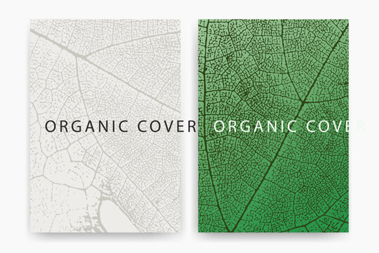 Vector leaf texture. Elegant design for covers, banners, packaging, labels, and organic texture backgrounds.
