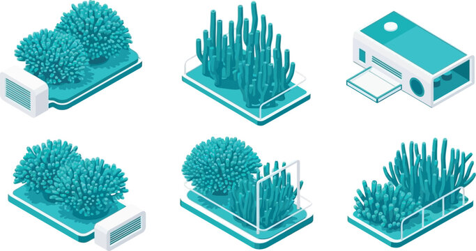 Isometric vector design collection featuring blue coral reef ecosystem elements