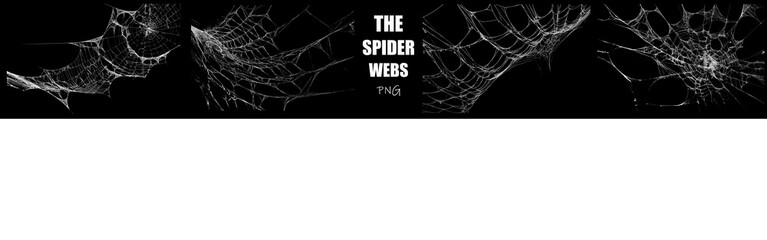 High quality spider web PNG featuring chaotic, interconnected silk networks. Realistic distressed cobweb textures for high-impact horror and dark fantasy art. © MalikUzair