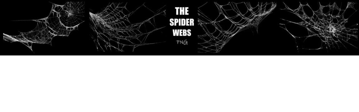 High quality spider web PNG featuring chaotic, interconnected silk networks. Realistic distressed cobweb textures for high-impact horror and dark fantasy art.