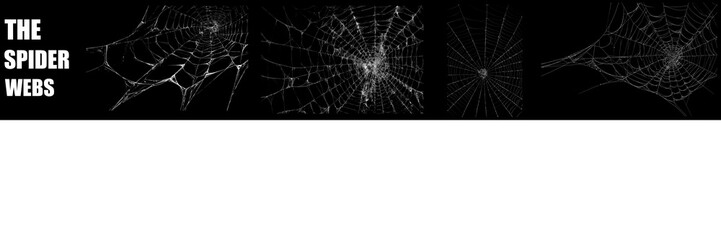 High quality 4 spider webs PNG featuring corner hanging designs and stretched silk fibers. Versatile cobweb overlays for architectural and spooky environmental concepts.