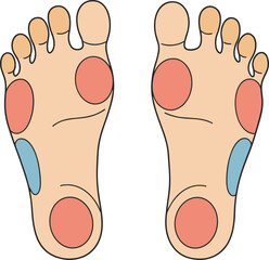 Foot reflexology pressure points diagram, colored zones on human feet for therapy wellness, alternative medicine chart, cad drawing flat vector illustration