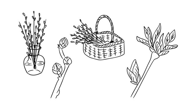 Set of willow branch and basket with twig in outline style vector hand drawn illustration isolated on white background. Spring holiday collection expressing easter tradition nature and renewal concept