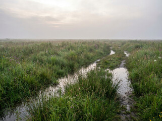 Misty morning over a marshy landscape with a winding stream reflecting the overcast sky.