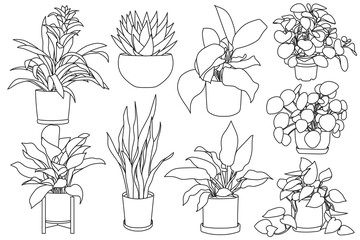Set of plant in pot hand drawn vector illustrations houseplant, home decoration © Ita