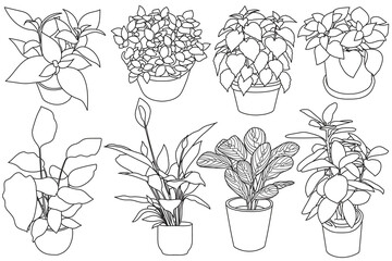 Set of plant in pot hand drawn vector illustrations houseplant, home decoration © Ita