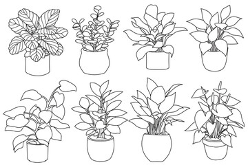 Set of plant in pot hand drawn vector illustrations houseplant, home decoration © Ita