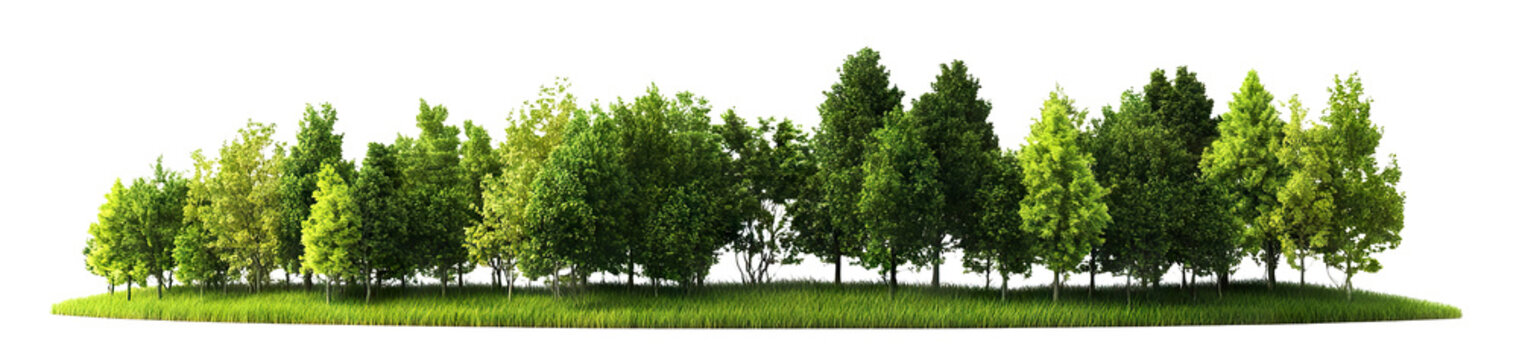 Green forest tree line, isolated on transparent cutout background